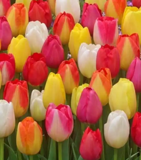 Screenshot_20210816-230443